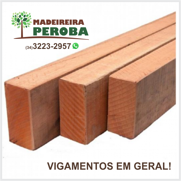 VIGAMENTOS